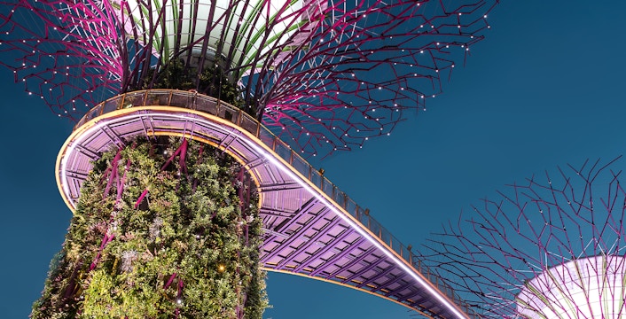 Recorridos y experiencias para locales