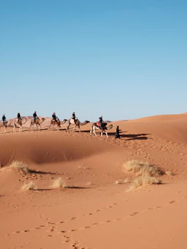 Camel caravan crossing desert dunes in Hurghada, Egypt.