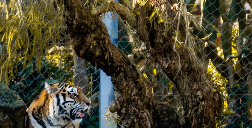 Jardim Zoológico de Lisboa