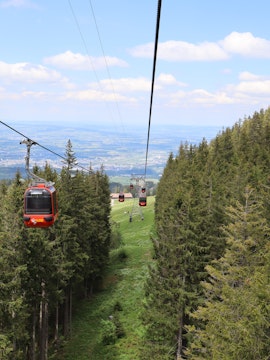 Cable cars over forested hills on Zurich to Lucerne tour route.