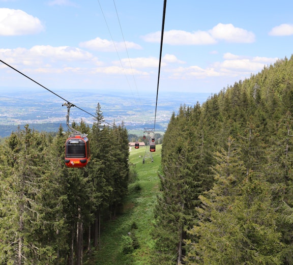 Cable cars over forested hills on Zurich to Lucerne tour route.