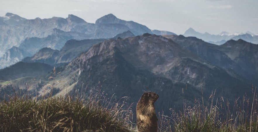 Zürich Zum Stanserhorn Touren