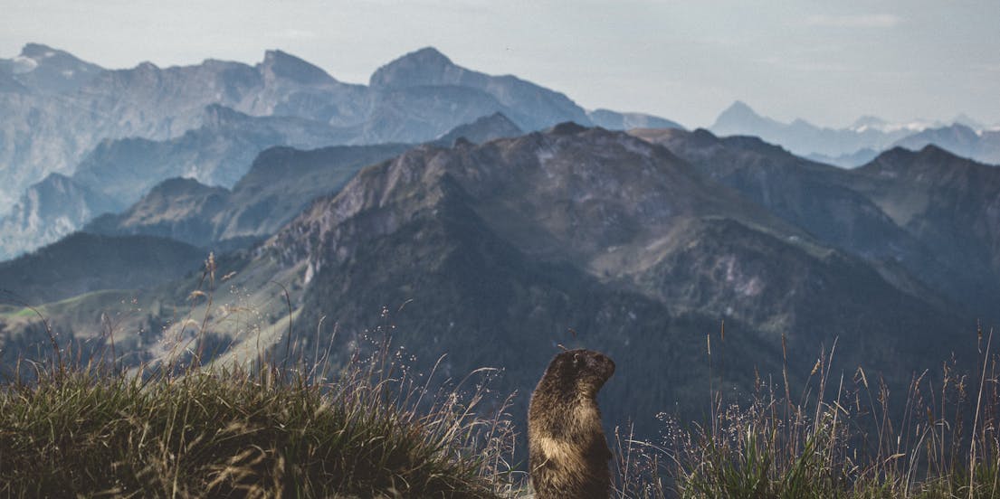 Zurich To Mount Stanserhorn Tours
