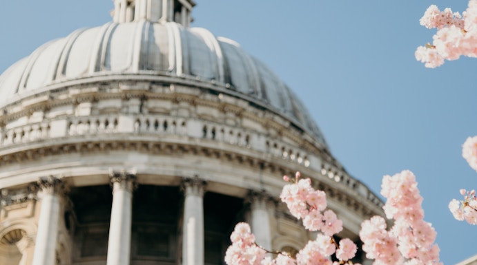 St. Paul's Cathedral dome with cherry blossoms, London.