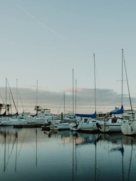 Boats docked at a marina in Sanford, Florida, with palm trees lining the waterfront.