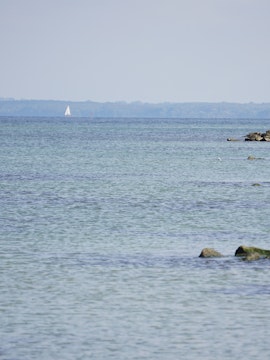 Swans swimming near rocky shore in Timmendorfer Strand, Germany.