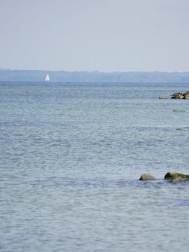 Swans swimming near rocky shore in Timmendorfer Strand, Germany.