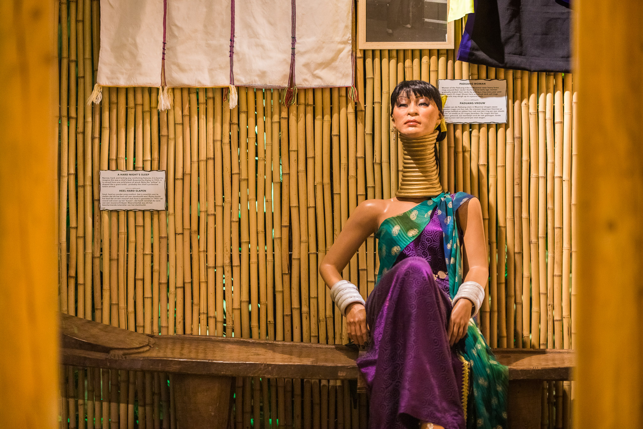 The shrunken head collection