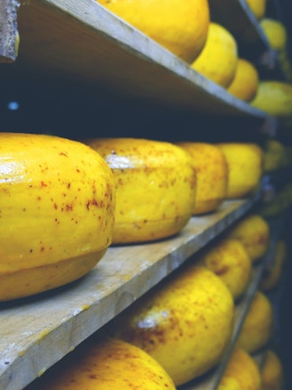 Cheese wheels aging on shelves at Zaanse Schans, Netherlands.