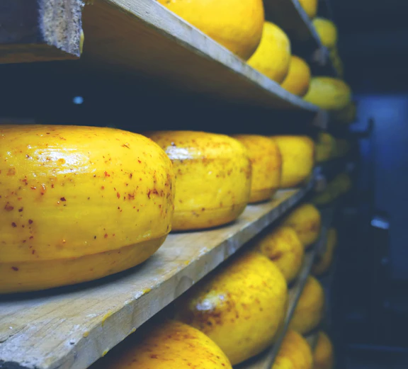 Cheese wheels aging on shelves at Zaanse Schans, Netherlands.
