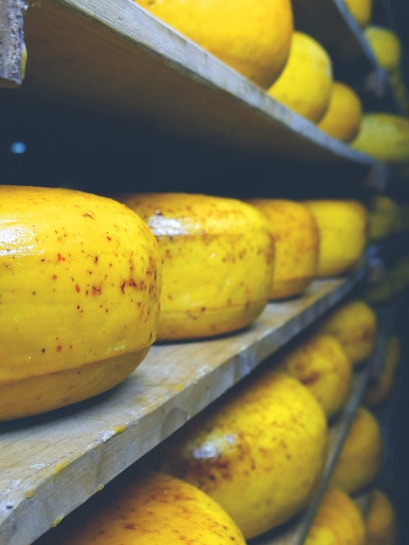 Cheese wheels aging on shelves at Zaanse Schans, Netherlands.