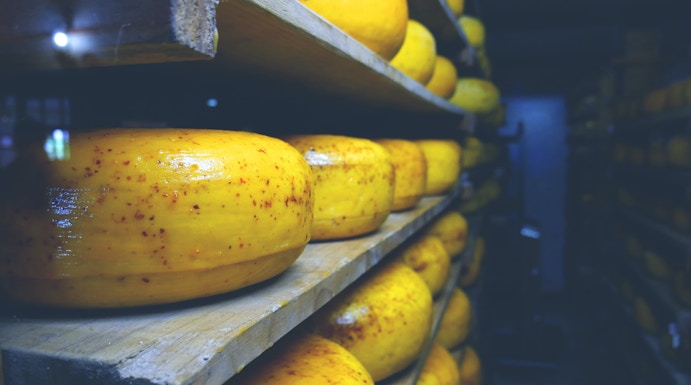 Cheese wheels aging on shelves at Zaanse Schans, Netherlands.
