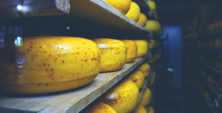 Volendam Cheese Factory Tours