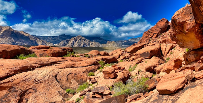 Passeios no Red Rock Canyon
