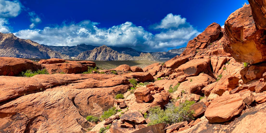 Red Rock Canyon Tours