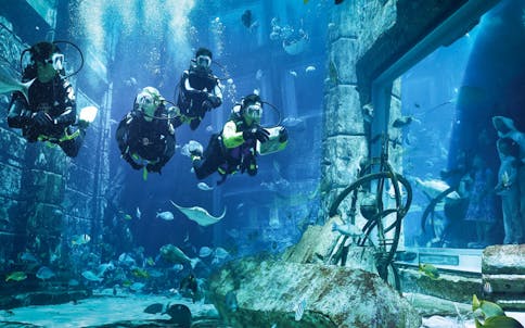 Lost Chambers Aquarium Tickets in Dubai