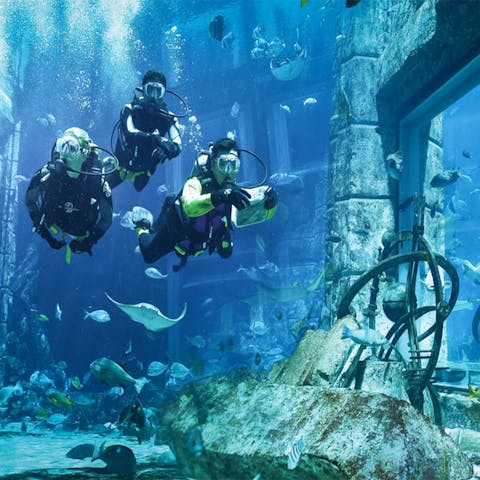 aquaventure headout waterpark