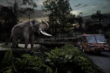 Best Things to do in Best Things to do in Singapore - Singapore Night Safari - 3