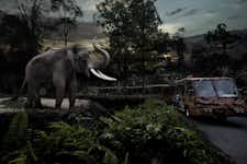 Best Things to do in Best Things to do in Singapore - Singapore Night Safari  - 3