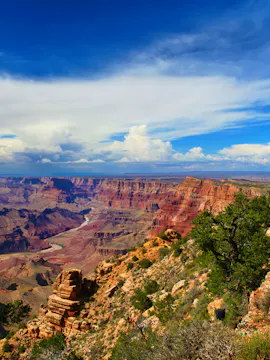 Grand Canyon South Rim Tours From Las Vegas