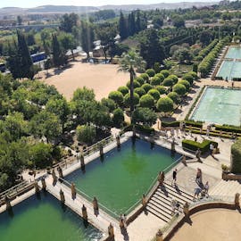 Cordoba