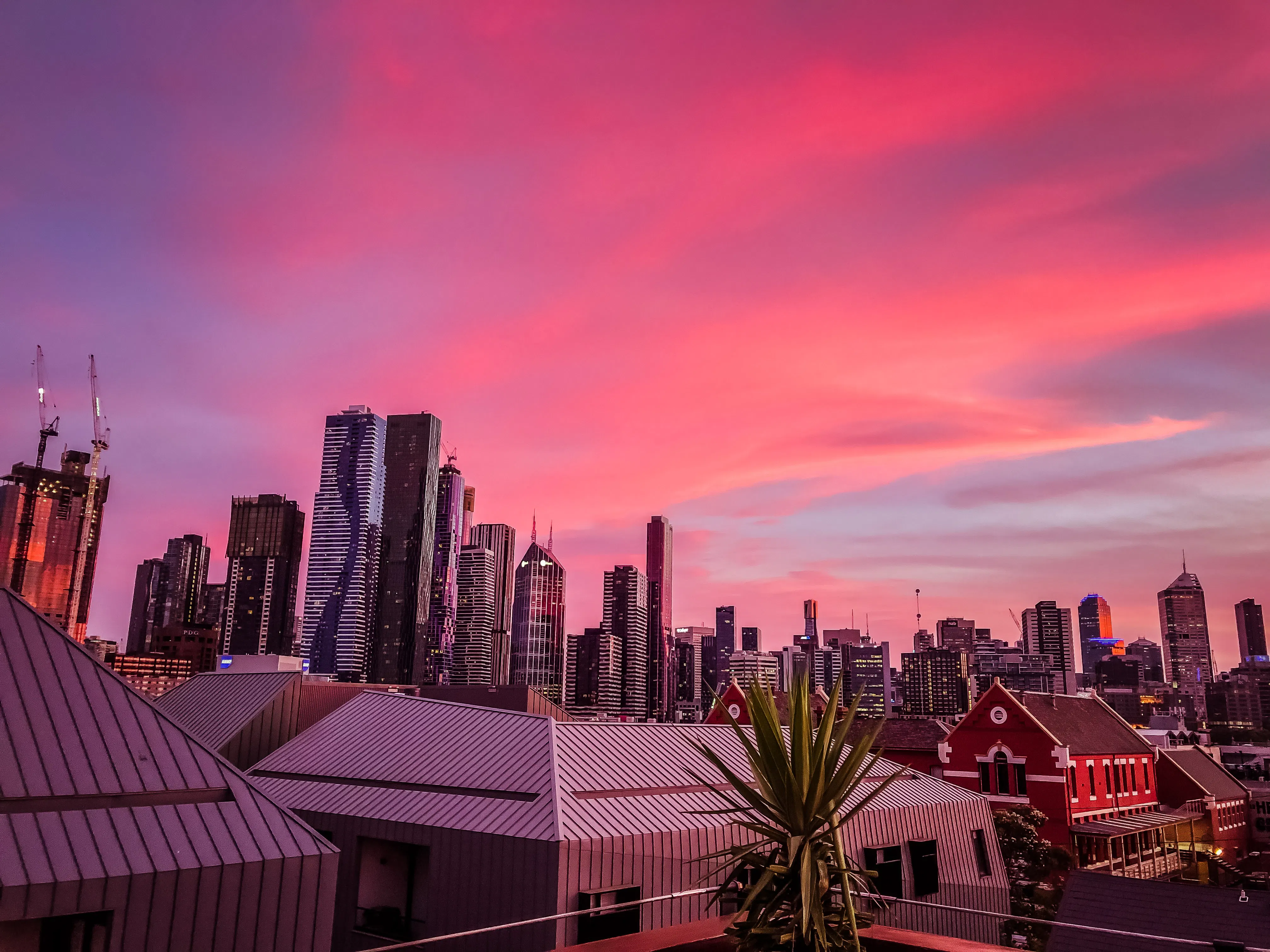 Dingen om te doen in Melbourne