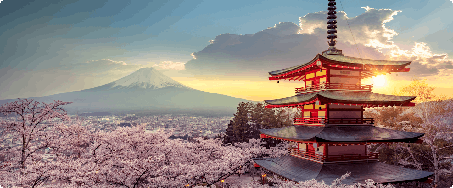 Descubre las mejores atracciones de Tokyo, seleccionadas por expertos. Consigue descuentos de última hora, entradas al instante, cashback y mucho más.
