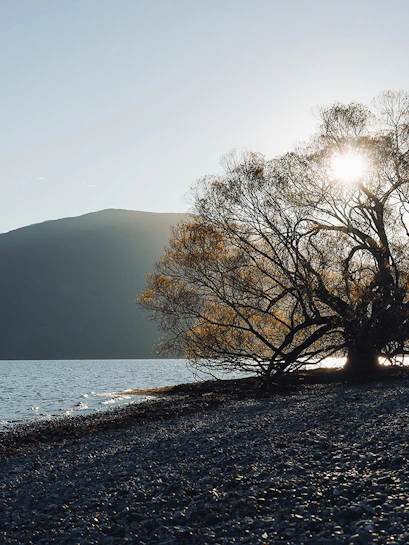 Te Anau