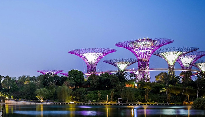 gardens by the bay attractions