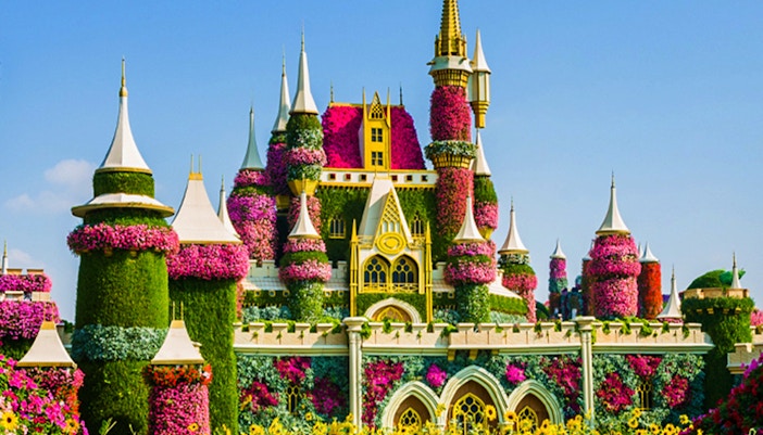 miracle garden rules