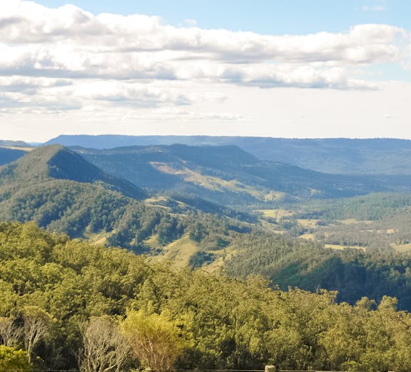 Scenic view of lush green hills and valleys in Lamington National Park, Australia.