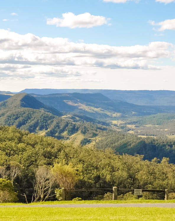 Scenic view of lush green hills and valleys in Lamington National Park, Australia.