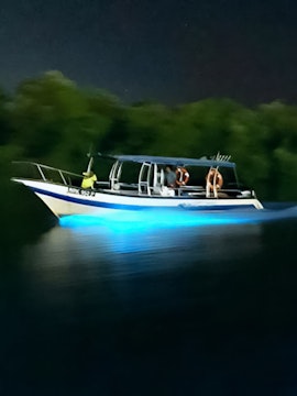 Boat on Kuala Selangor river at night with glowing blue water.