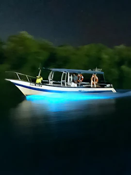 Boat on Kuala Selangor river at night with glowing blue water.