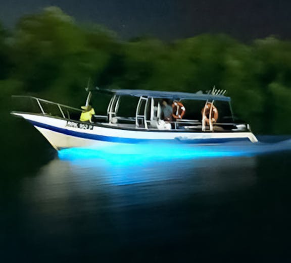 Boat on Kuala Selangor river at night with glowing blue water.