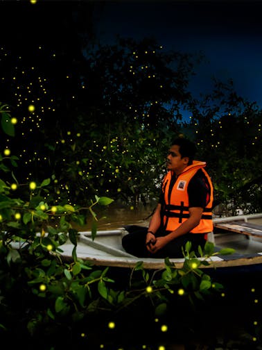 Kuala Selangor Fireflies Tour