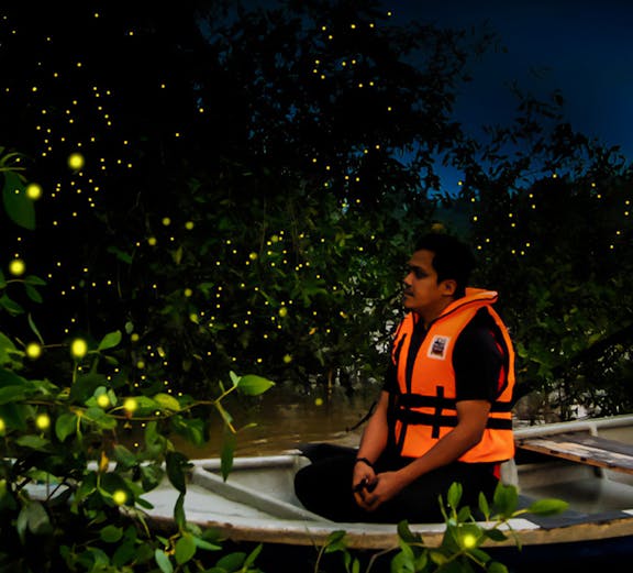 Person in a boat surrounded by fireflies on Kuala Selangor Fireflies Tour.