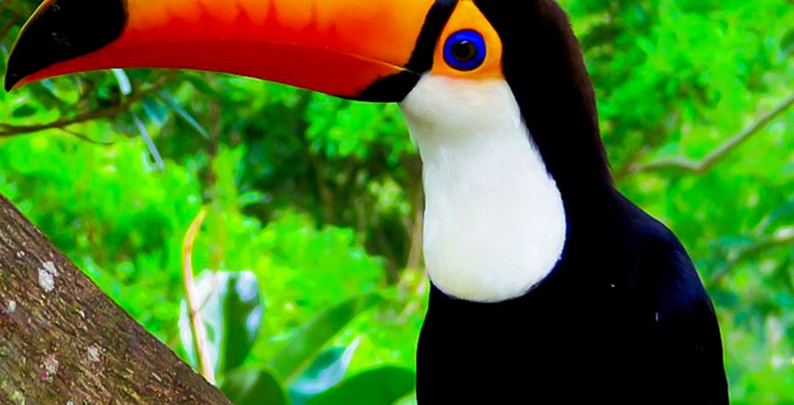 Billets Neo Park Okinawa