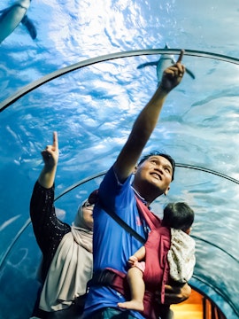 Family exploring underwater tunnel at Langkawi Underwater World, Malaysia.