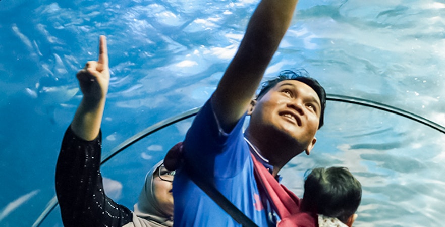 Langkawi Unterwasserwelt