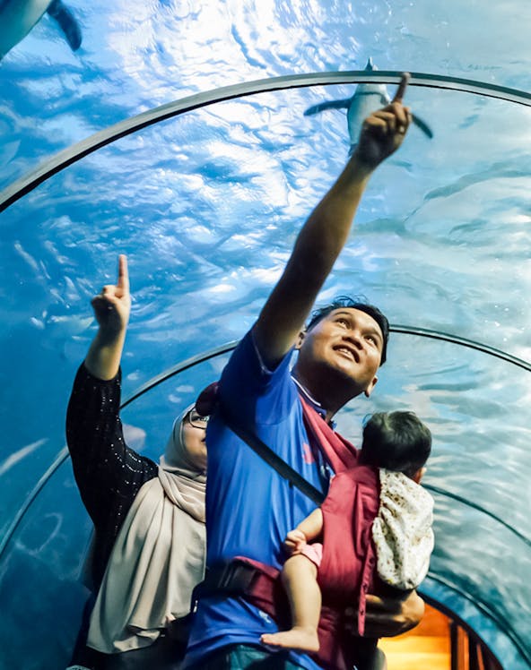 Family exploring underwater tunnel at Langkawi Underwater World, Malaysia.