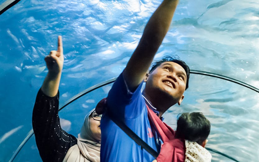 Family exploring underwater tunnel at Langkawi Underwater World, Malaysia.