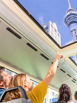 Hop on Hop off Tours Auckland