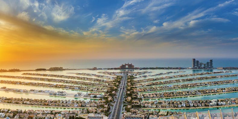 The View at The Palm