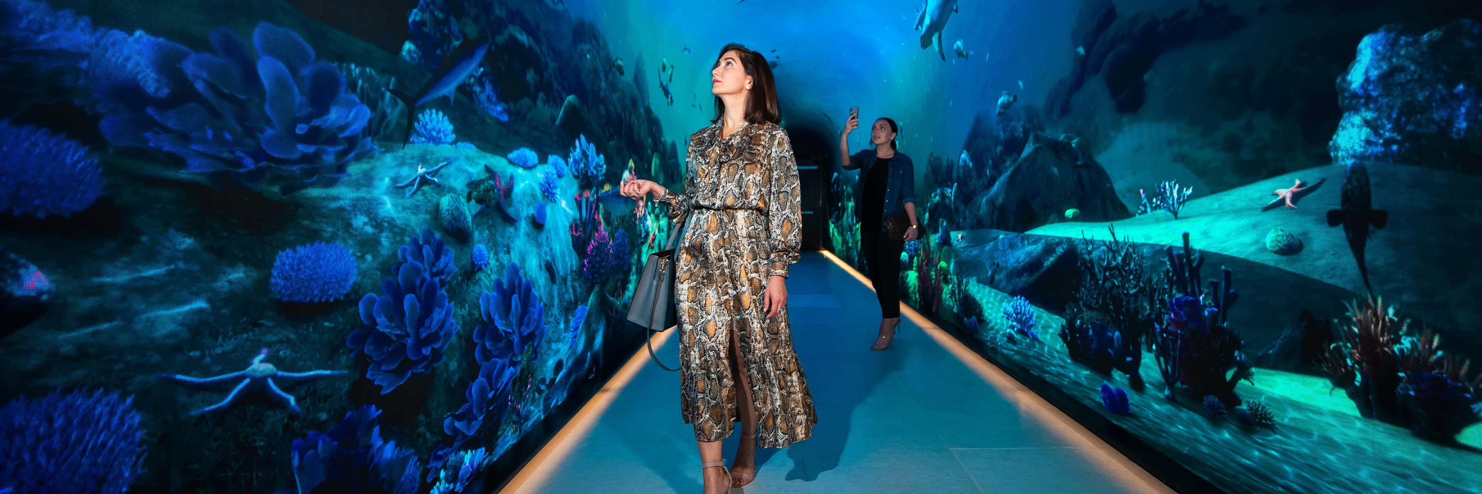 The View at the Palm (udsigten)