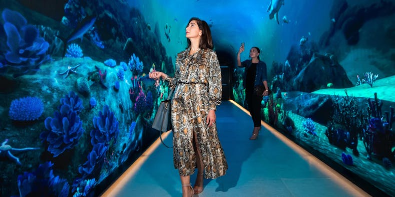 The View at the Palm (udsigten)