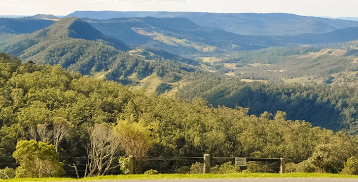 Lamington National Park Tours & Tickets