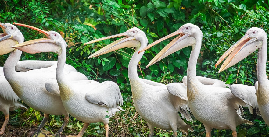 Riserva Naturale di Mandai