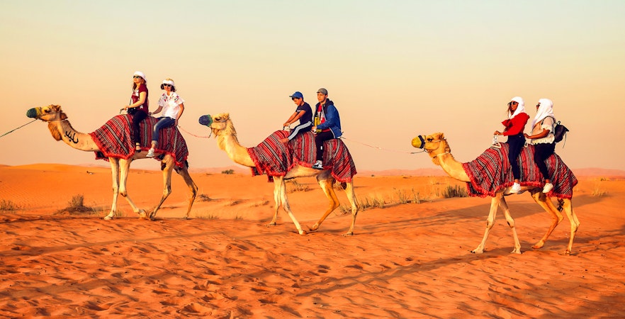 Réserve de conservation du désert de Dubaï