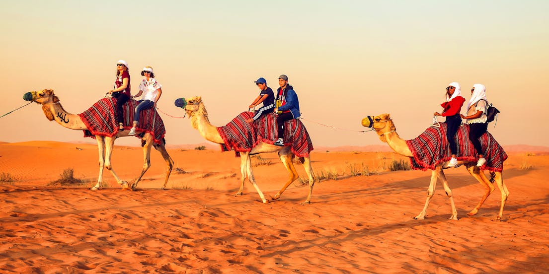 Dubai Desert Conservation Reserve